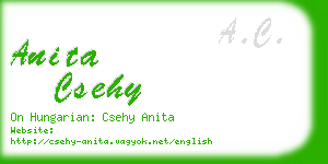 anita csehy business card